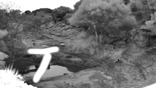 Still 1 from this detection