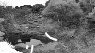 Still 2 from this detection