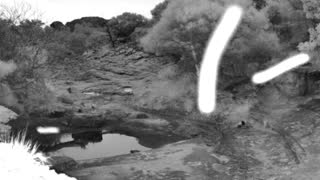 Still 1 from this detection