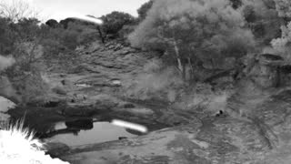 Still 2 from this detection