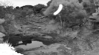 Still 2 from this detection