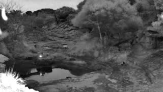 Still 2 from this detection