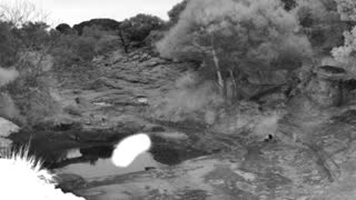Still 2 from this detection