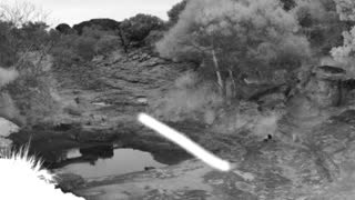 Still 1 from this detection