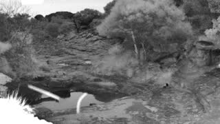 Still 1 from this detection