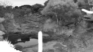 Still 1 from this detection