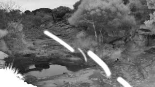Still 2 from this detection