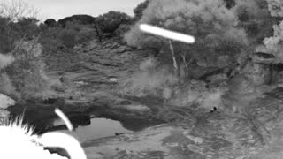 Still 3 from this detection