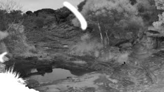 Still 1 from this detection