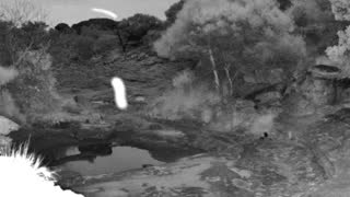 Still 2 from this detection