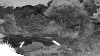 Still 2 from this detection