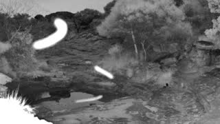Still 2 from this detection