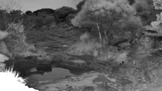 Still 1 from this detection