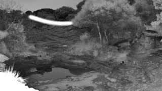 Still 2 from this detection