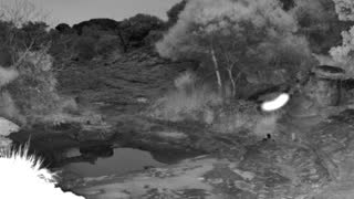 Still 1 from this detection