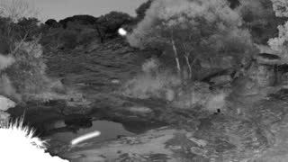 Still 1 from this detection