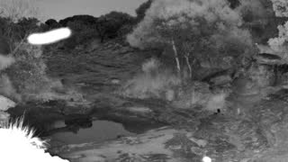 Still 2 from this detection