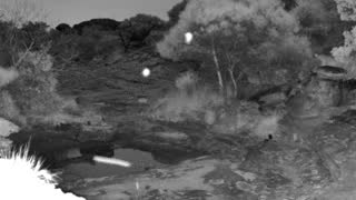 Still 3 from this detection