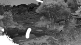Still 1 from this detection