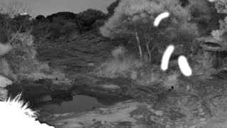 Still 1 from this detection