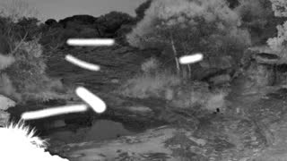 Still 2 from this detection
