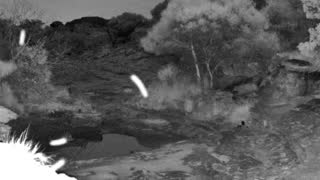 Still 3 from this detection