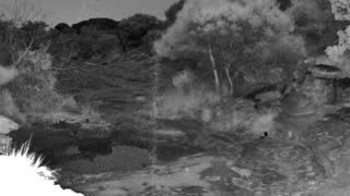 Still 2 from this detection