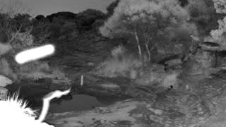 Still 2 from this detection