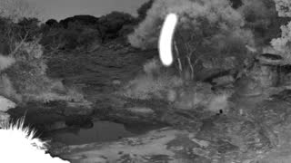 Still 3 from this detection