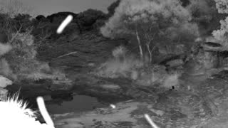 Still 1 from this detection