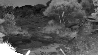 Still 2 from this detection