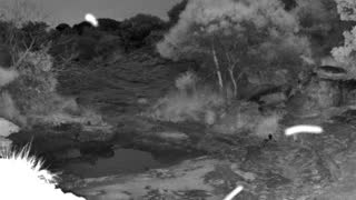 Still 3 from this detection