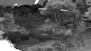 Still 2 from this detection