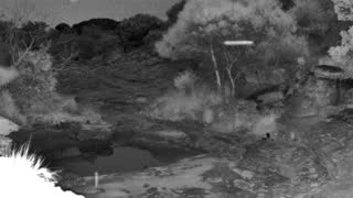 Still 3 from this detection