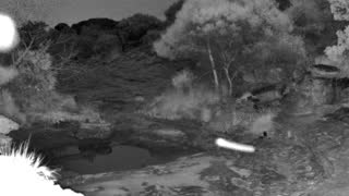Still 1 from this detection
