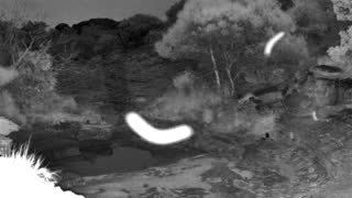 Still 2 from this detection