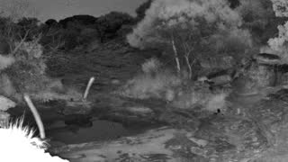 Still 1 from this detection