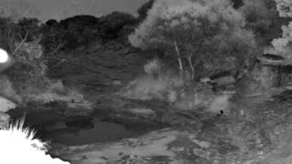 Still 2 from this detection