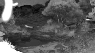Still 1 from this detection