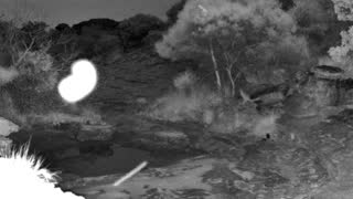 Still 1 from this detection