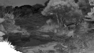 Still 2 from this detection