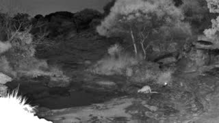 Still 1 from this detection