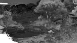 Still 3 from this detection