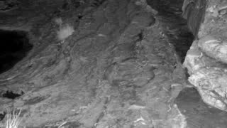 Still 1 from this detection