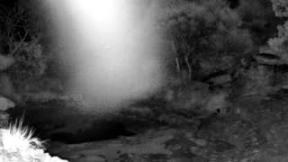 Still 2 from this detection