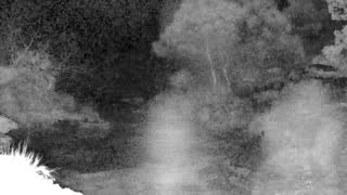 Still 2 from this detection