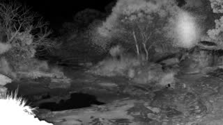 Still 1 from this detection