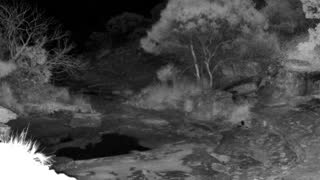 Still 1 from this detection