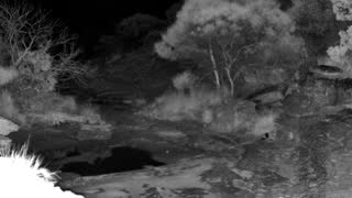 Still 1 from this detection
