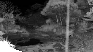 Still 2 from this detection